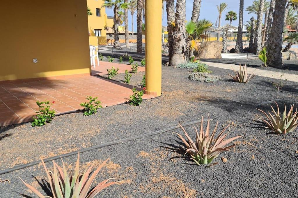 Ferienwohnung Beautiful Garden Flat Nearly Refurbished Free Wifi Corralejo Exterior foto
